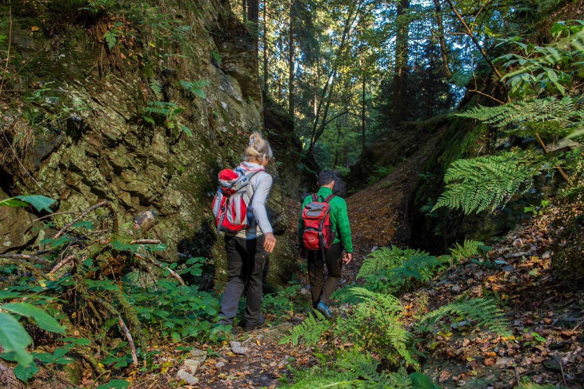 Berghotel Hoher Knochen Winterberg Zewnętrze zdjęcie