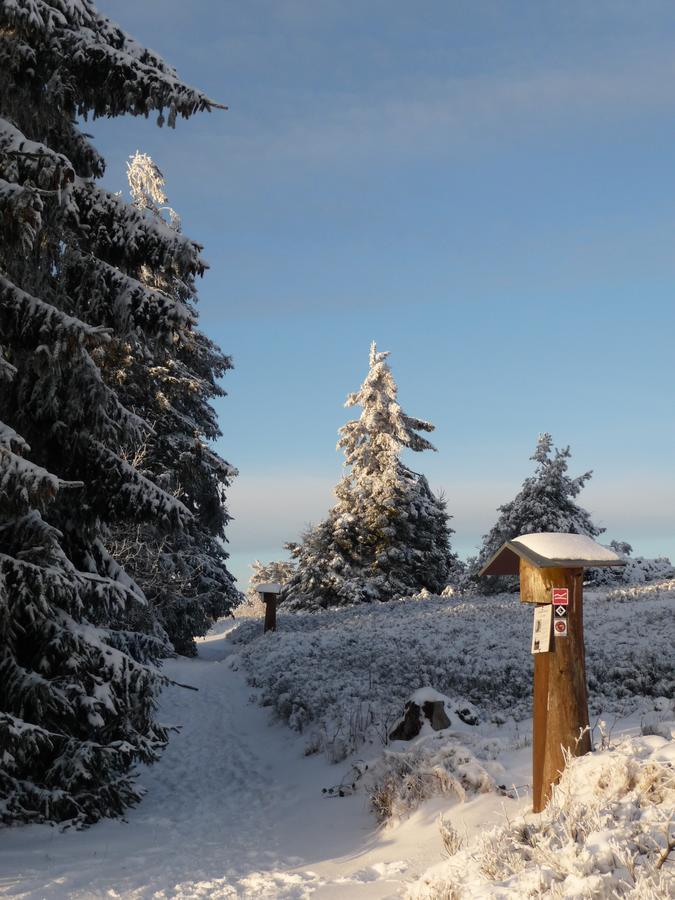 Berghotel Hoher Knochen Winterberg Zewnętrze zdjęcie